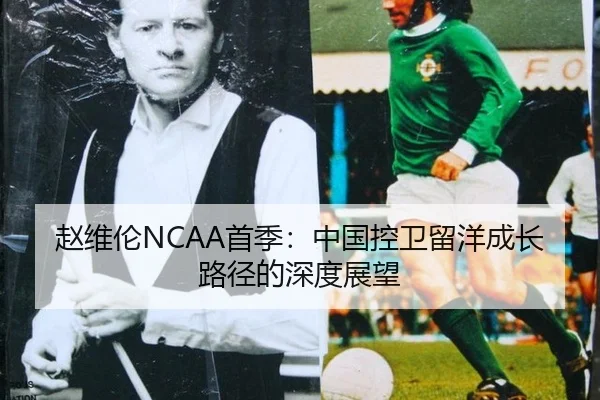 zhao-wei-lun-shou-ji-zhong-guo-kong-wei-liu-yang-cheng-zhang-lu-jing-de-shen-du-zhan-wang-2-799.jpg