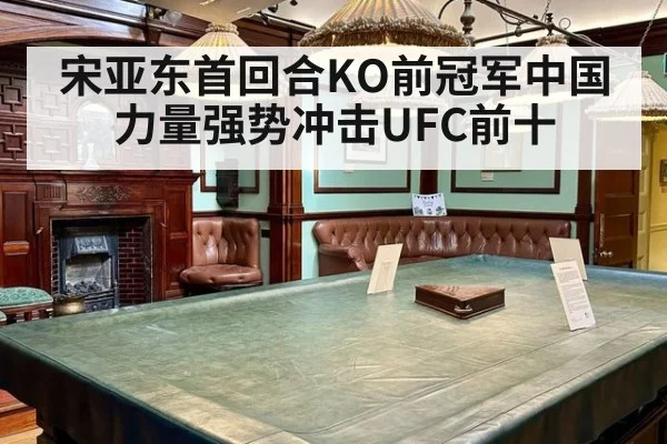 宋亚东首回合KO前冠军中国力量强势冲击UFC前十